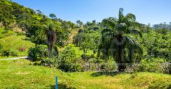 Ocean View Lot 11 Coral Views Village Roatan