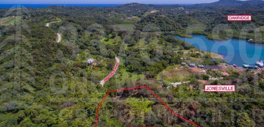 East Side Land Development Jonesville Road