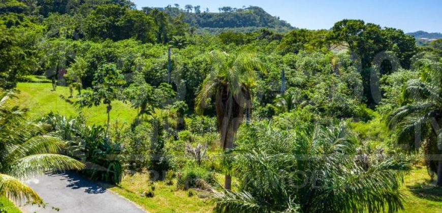 Ocean View Lot 11 Coral Views Village Roatan