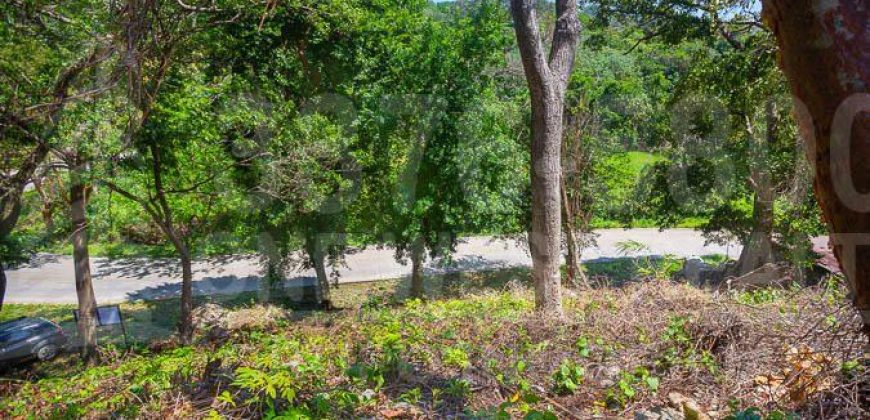 East Side Land Development Jonesville Road