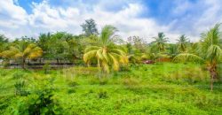 Sandy Bay Beachfront Property In Roatan
