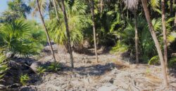 Lote de 3.6 Acres en Venta En Islas de la Bahia Cayos Cochinos