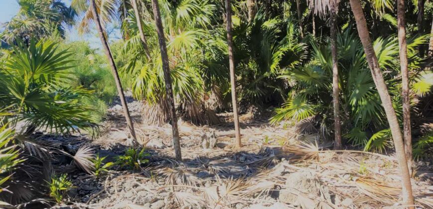 Lote de 3.6 Acres en Venta En Islas de la Bahia Cayos Cochinos