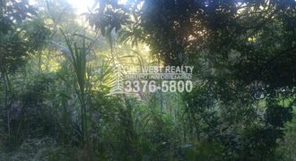 Venta de Terreno Con Vista a Rio Cangrejal y Pico Bonito La Ceiba