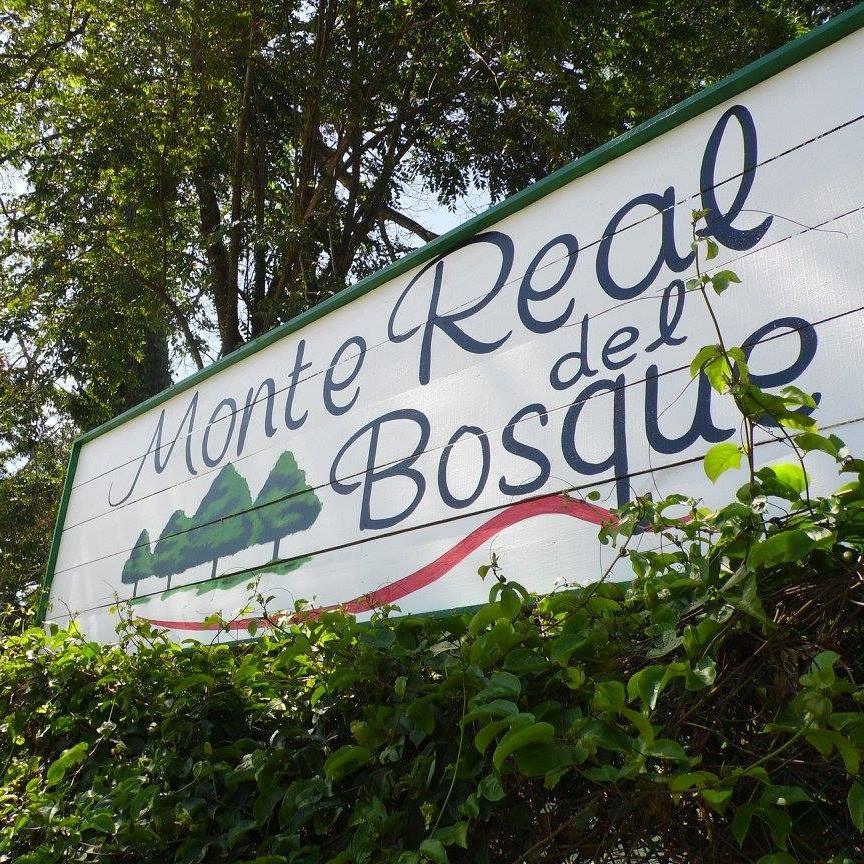 Monte Real Del Bosque Venta de Casas 1westrealty Monte Real Del Bosque Venta de Casas 1westrealty