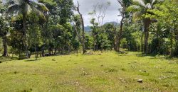 Terreno de venta en Omoa Cortes con naciente de agua y cabañas