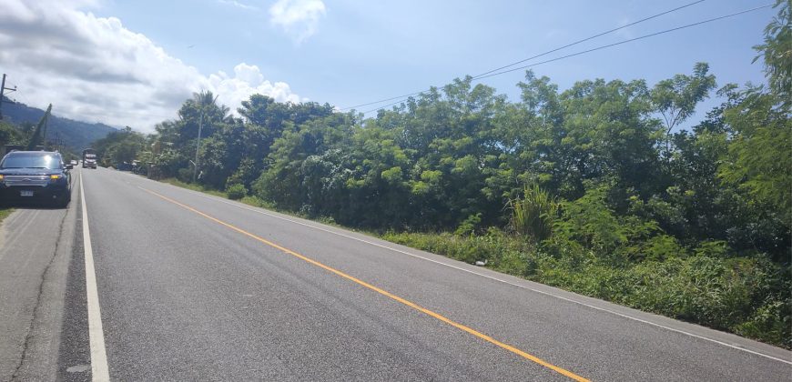Terreno de venta en Omoa Cortes con naciente de agua y cabañas