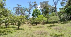 Terreno de venta en Omoa Cortes con naciente de agua y cabañas