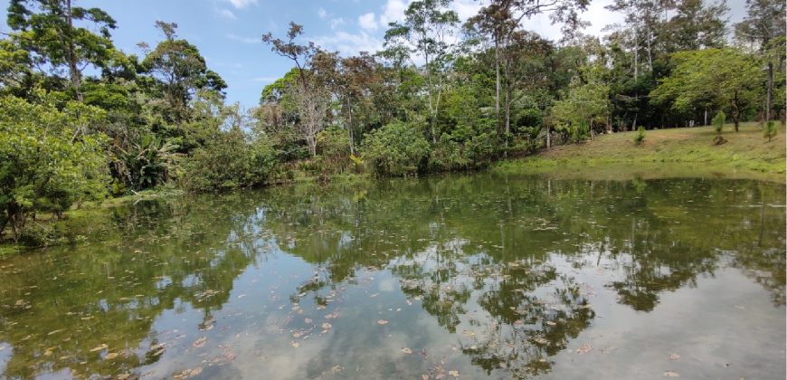Terreno de venta en Omoa Cortes con naciente de agua y cabañas
