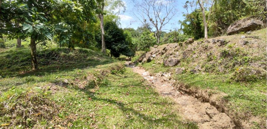 Terreno de venta en Omoa Cortes con naciente de agua y cabañas