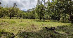 Terreno de venta en Omoa Cortes con naciente de agua y cabañas