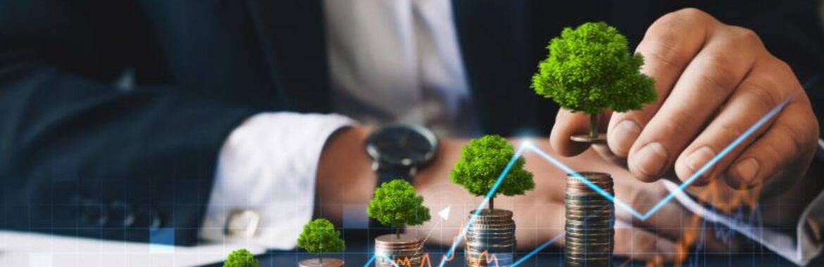 Bay Islands Drive Sustainable Growth with Green Investments